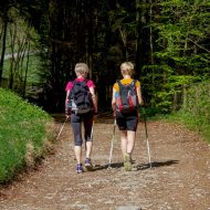 Nordic Walking Zwei Frauen wandern durch einen Wald