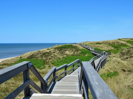 Nordsee Holzsteg zwischen Dünen auf Sylt an der Nordsee
