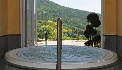 Whirlpool Whirlpool mit Ausblick auf den Bayerischen Wald im Burghotel Sterr