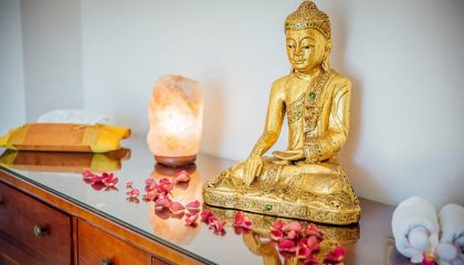 antoniushof_indische_heilkunst