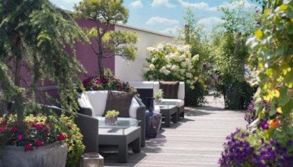 Garten Pflanzen und Sitzgelegenheiten auf der Dachterrasse