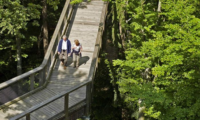 Baumwipfelpfad Älteres Paar spaziert durch den Bayerwald