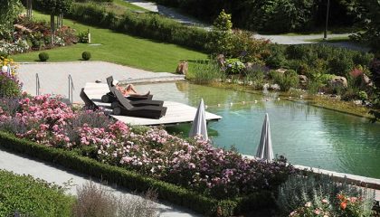 Naturbadeweiher Übersicht vom Naturbadeweiher im Garten
