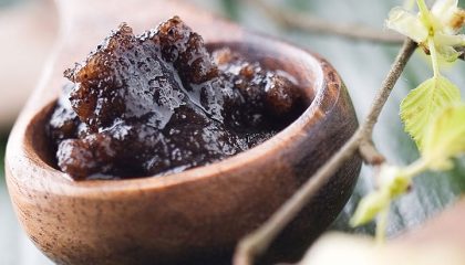Wochenende im Sterr Holzlöffer mit Frucht