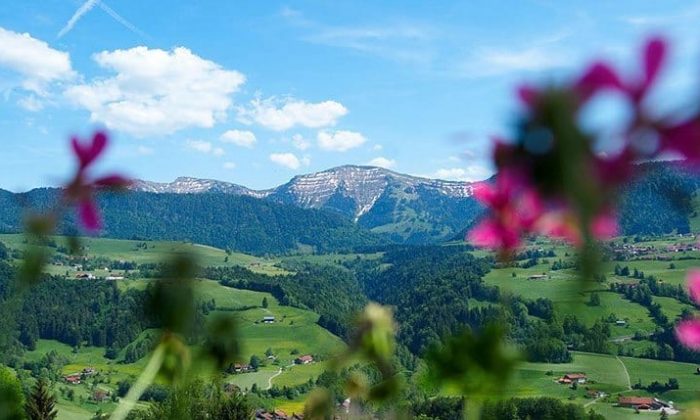 Allgäu Grüne Wiesen und Berglandschaft in Bayern