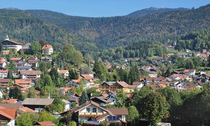 Glasstraße Überblick über Dorf in der Natur des Bayerwaldes