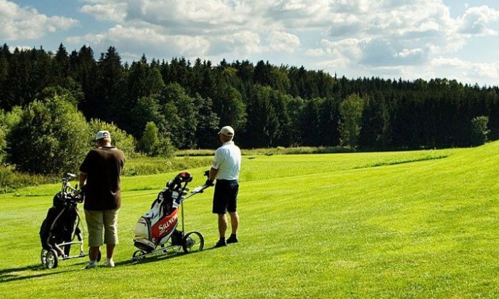 Golfer Zwei Golfer auf einem Golfplatz im Bayerwald
