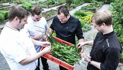 Köche Küchenteam mit frischem Gemüse