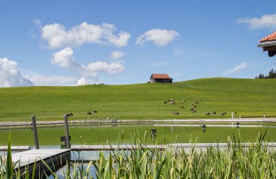 Naturbadesee Grüne Wiese neben dem 2.500 m² Naturbadesee