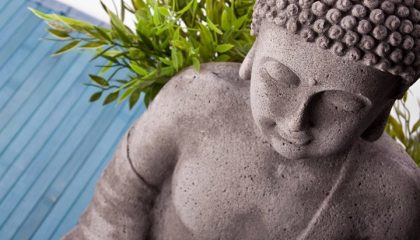 Ayurveda Indische Statur