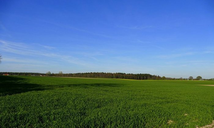 Niederrhein Grüne Landschaft vor blauem Himmel am Niederrhein