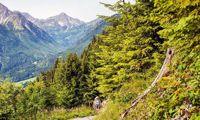 Oberjoch kurz mal weg Wälder im Allgäu